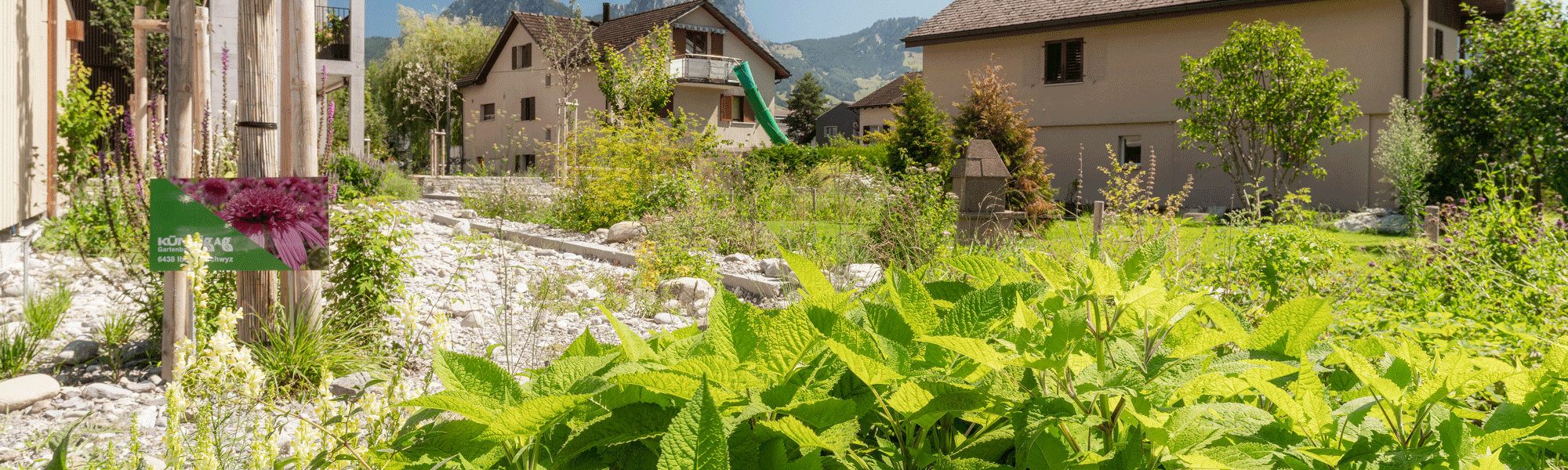 Gemeinde Brunnen und Baugenossenschaft Familia Ingenbohl bauen direkt an der Gotthardbahnlinie ein Mehrfamilienhaus – mit viel Biodiversität und Nachhaltigkeit.